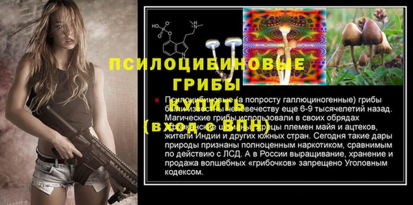 трава Арсеньев